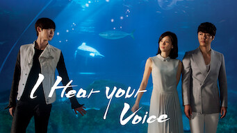 I Hear Your Voice (2013)