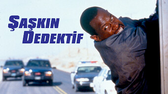 Şaşkın Dedektif (1999)