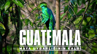 Guatemala: Maya Uygarlığının Kalbi (2019)